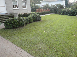 Privétuin Brasschaat